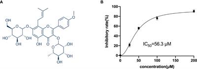 Icariin attenuates the tumor growth by targeting miR-1-3p/TNKS2/Wnt/β-catenin signaling axis in ovarian cancer